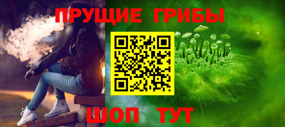 хочу наркоту  Галлюциногенные грибы Psilocybe  Вход с VPN  Осинники 